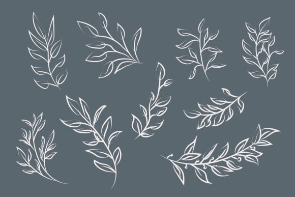 Botanical Leaves and Branches Lines Art Graphics